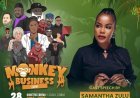 Monkey Business Animation preshow